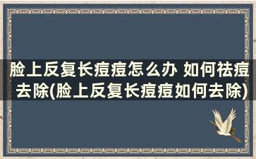 脸上反复长痘痘怎么办 如何祛痘去除(脸上反复长痘痘如何去除)